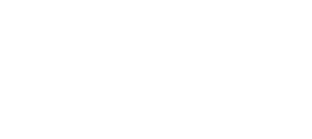 Parfifi Logo White